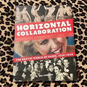 Horizontal Collaboration World of Paris 1920-1946 Book France History War Europe